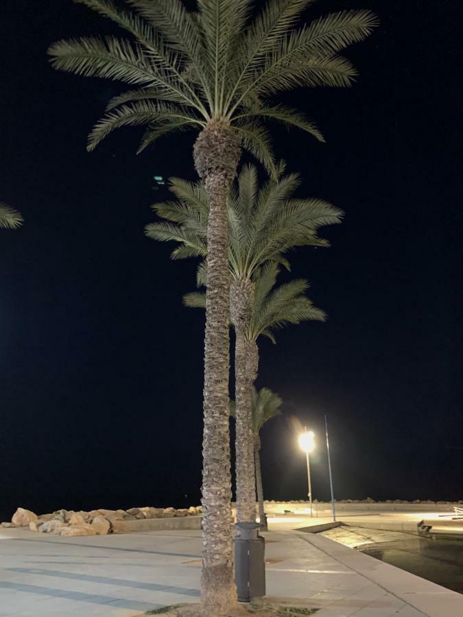 Sunshine Apartment Torrevieja Extérieur photo